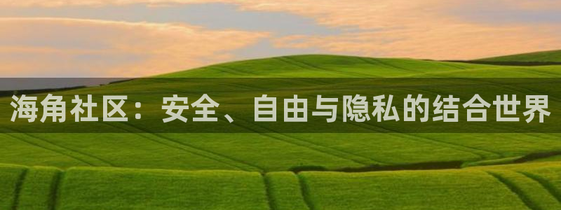 海角社区在线登录海角：海角社区：安全、自由与隐私的结合世界