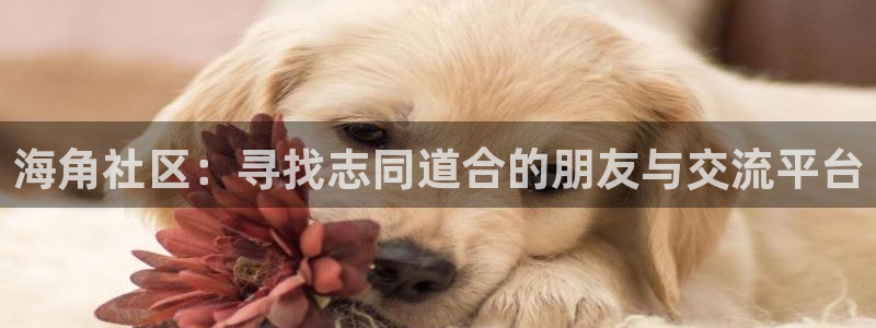 海角社区里：海角社区：寻找志同道合的朋友与交流平台