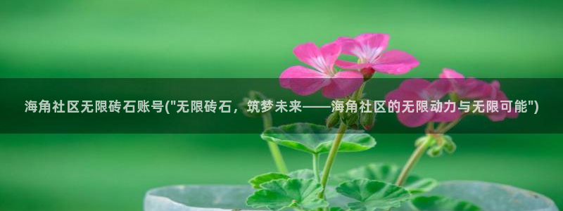 海角天涯社区meier：海角社区无限砖石账号(\